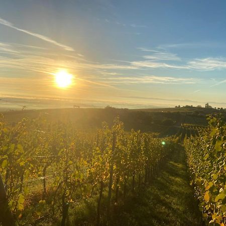 Charmant Et Chaleureux Gite Dans Le Vignoble Sigolsheim Buitenkant foto