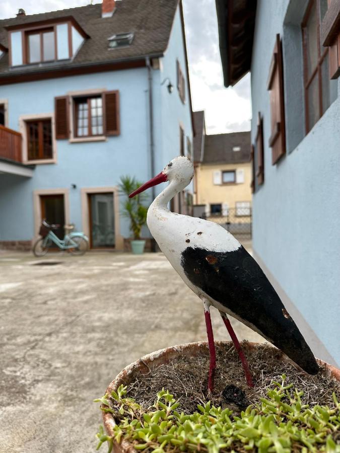 Charmant Et Chaleureux Gite Dans Le Vignoble Sigolsheim Buitenkant foto